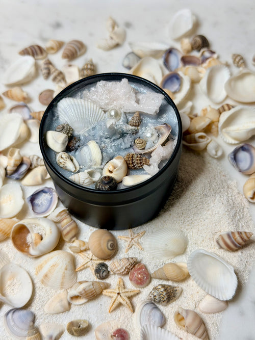 Black container with seashells and starfish on a sandy background